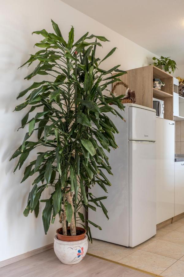 פודסטראנה Sky Apartments מראה חיצוני תמונה